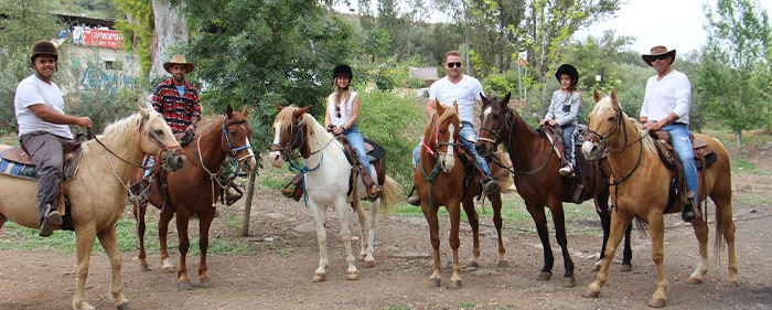 טיולי סוסים